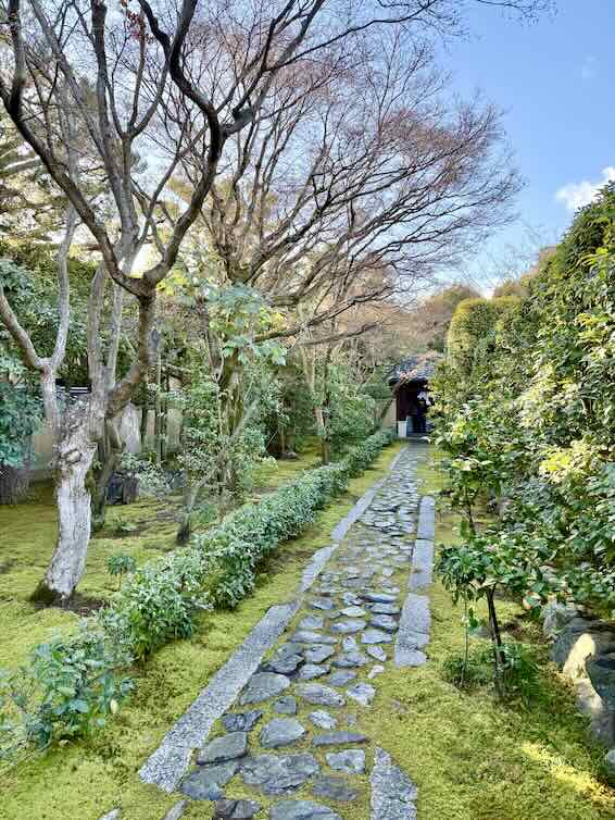chemin mousse